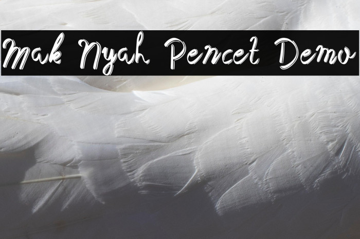 Mak Nyah Pencet Demo Example 1