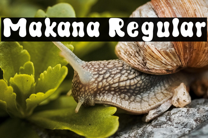 Makana Regular Example 1