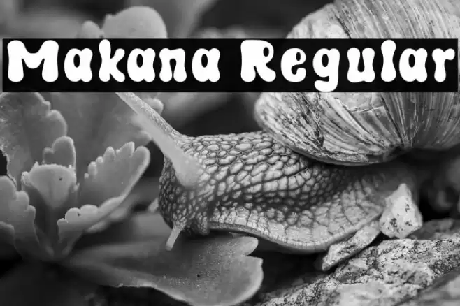 Makana Regular Font examples