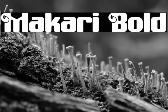 Makari Bold Font examples