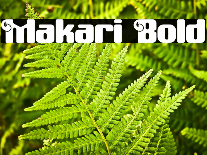 Makari Bold Example 3