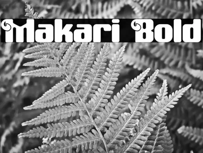 Makari Bold Font examples