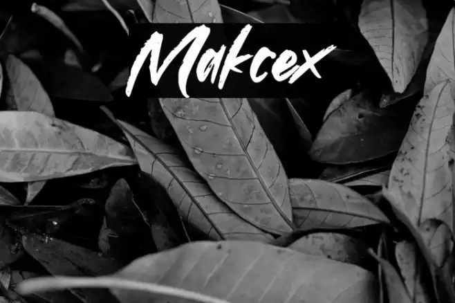 Makcex Font examples