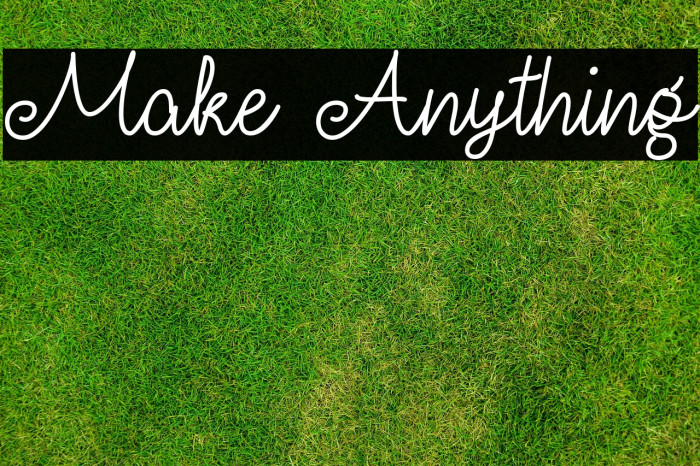 Make Anything Example 2