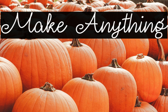 Make Anything Example 3