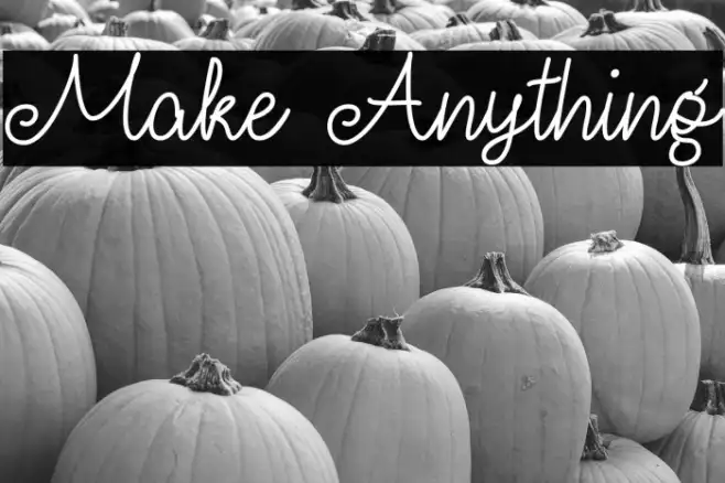 Make Anything Example 3