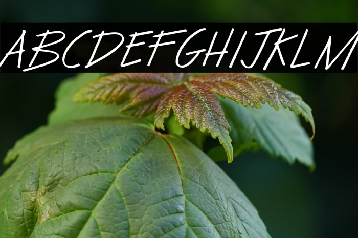 Make Believe Example 1