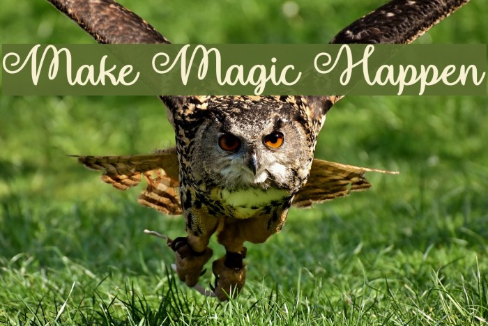 Make Magic Happen フォント examples