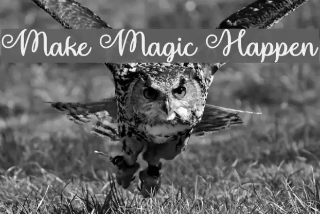 Make Magic Happen Font examples