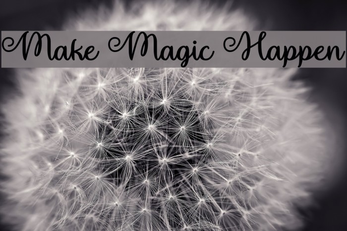 Make Magic Happen フォント examples