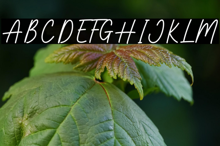 Make Magic Example 1