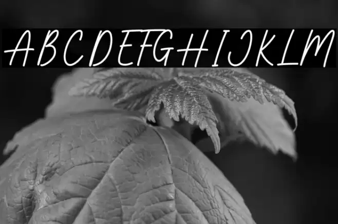 Make Magic Font examples