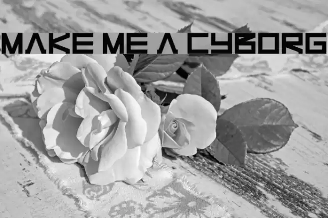 Make Me A Cyborg フォント examples