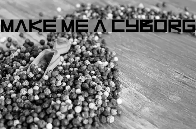 Make Me A Cyborg フォント examples