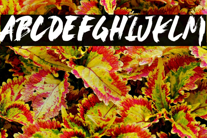 Make No Sense Example 1