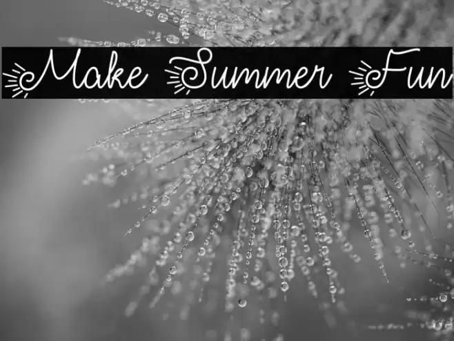 Make Summer Fun Font examples