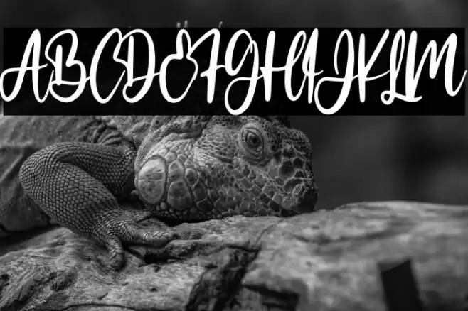 Make cake Font examples