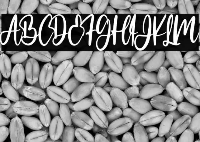 Make cake Font examples