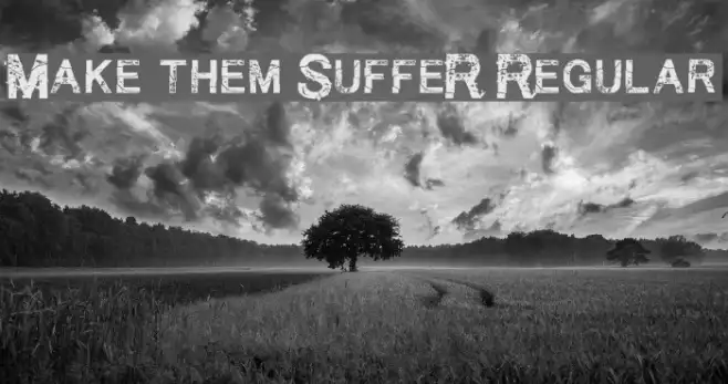 Make them SuffeR Regular Example 2