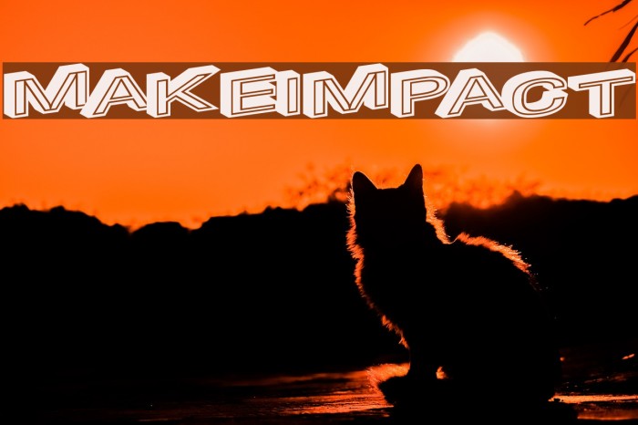 MakeImpact Example 1