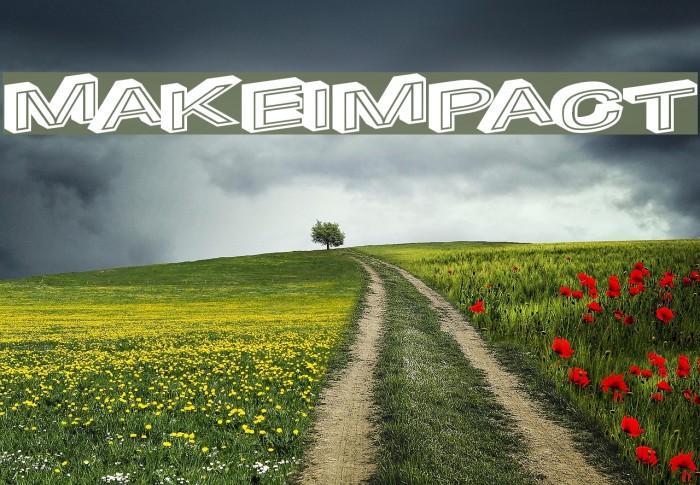 MakeImpact Example 2