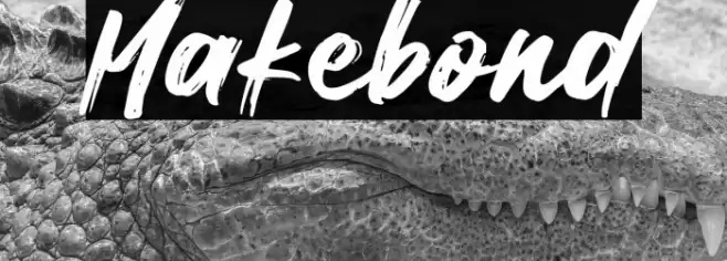 Makebond Polices examples