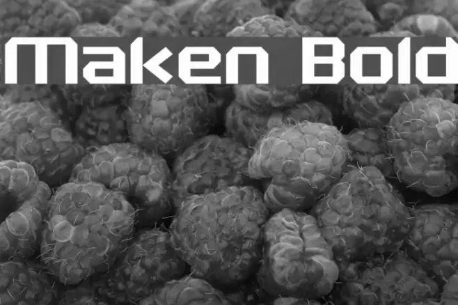 Maken Bold Font examples