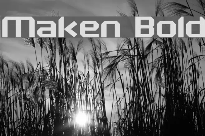 Maken Bold Font examples