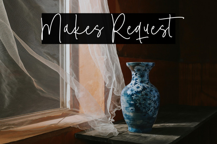 Makes Request Example 1