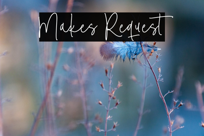 Makes Request Example 2