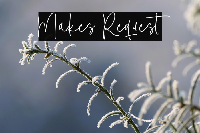 Makes Request Example 3