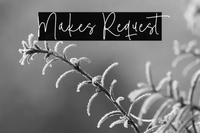Makes Request Example 3