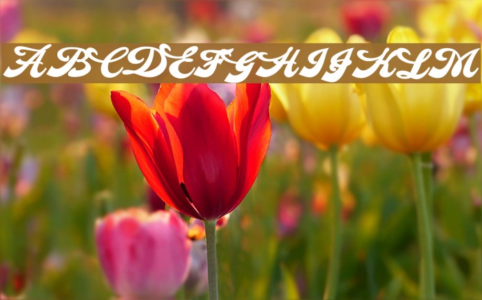 Makeup Personal Use Regular Example 1