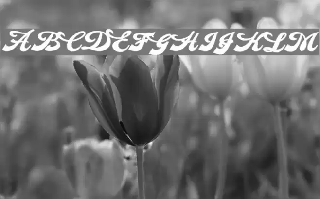 Makeup Personal Use Regular Font examples