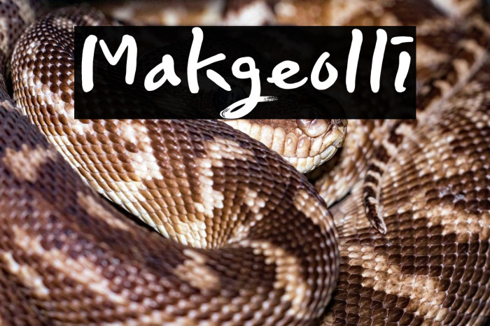 Makgeolli Example 1