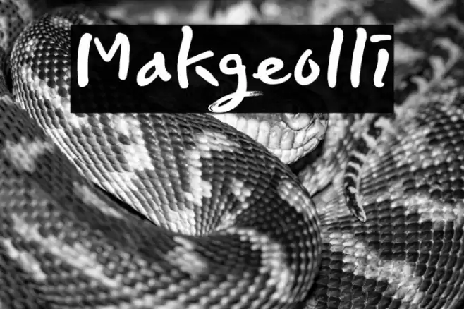 Makgeolli Polices examples