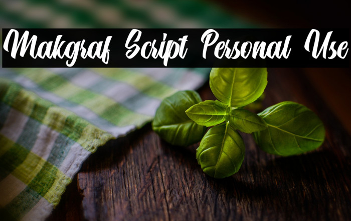 Makgraf Script Personal Use Example 3