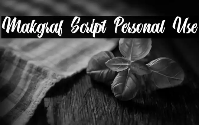 Makgraf Script Personal Use Example 3