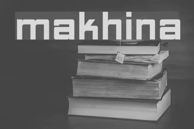 Makhina Example 2
