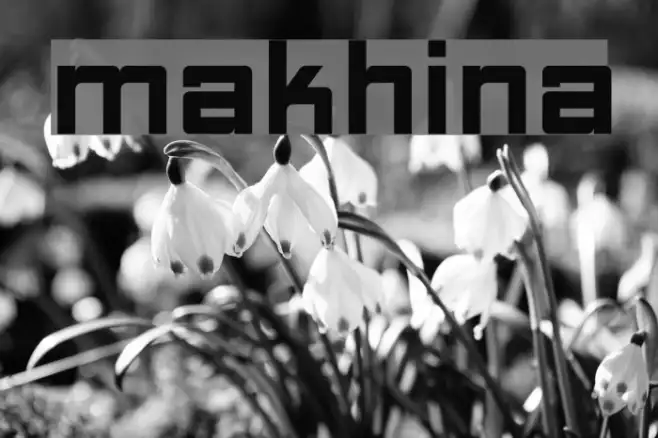 Makhina Example 3