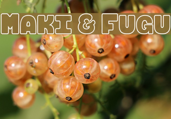 Maki & Fugu Example 3