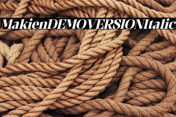 Makien DEMO VERSION Italic Example 1