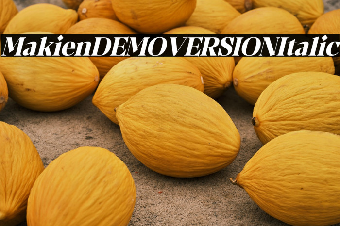 Makien DEMO VERSION Italic Example 2