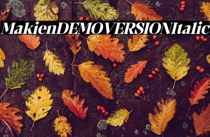 Makien DEMO VERSION Italic Example 3