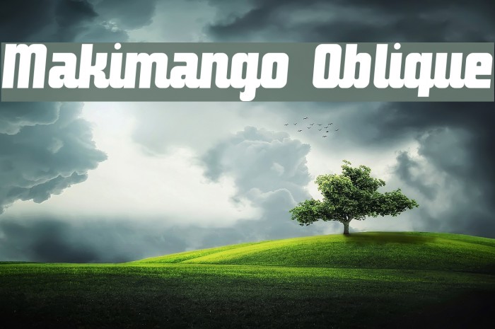 Makimango Oblique Schriftart examples
