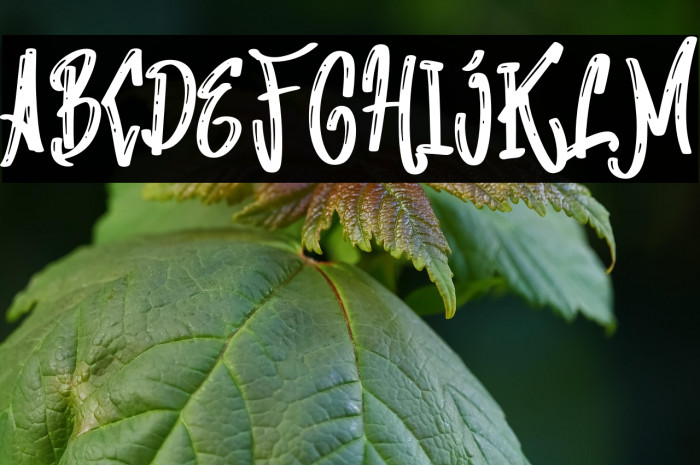 Making Bomber Example 2