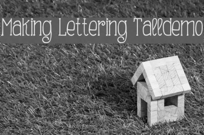 Making Lettering Tall_demo Font examples
