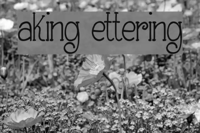 Making Lettering_DEMO Font examples