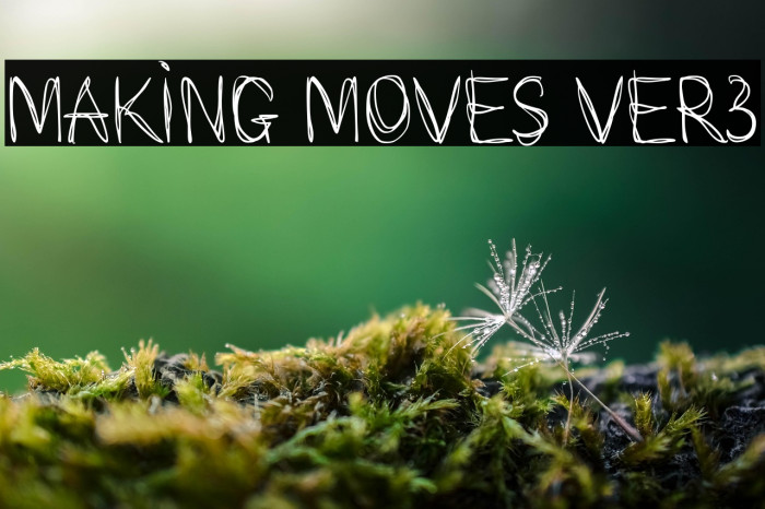 Making Moves ver3 Example 1