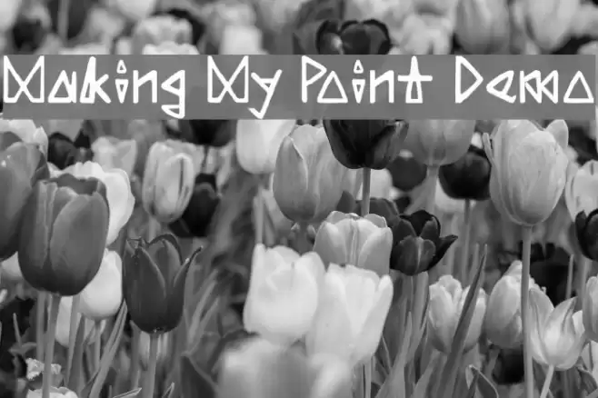 Making My Point Demo Font examples